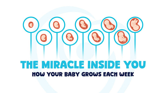 The Miracle Inside You: How Your Baby Grows Each Week